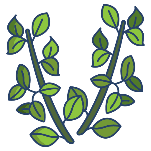 Inactive Mint